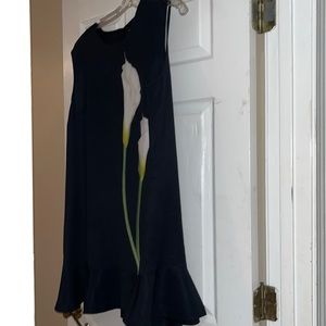 Sleeveless Victoria Beckham dress